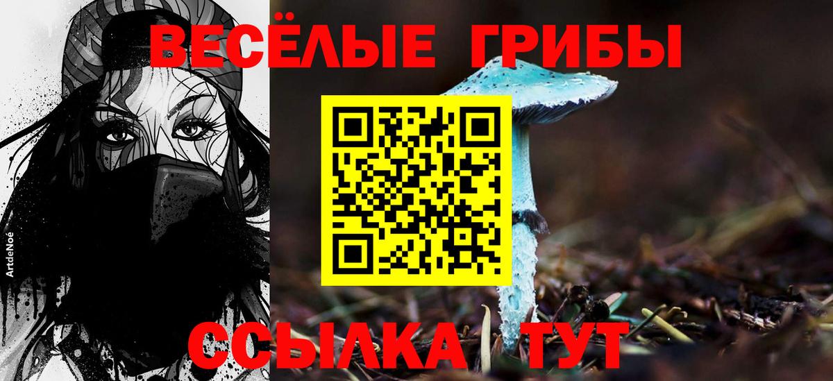 Галлюциногенные грибы Psilocybine cubensis  Вход с VPN  Кизляр  Псилоцибиновые грибы Cubensis 