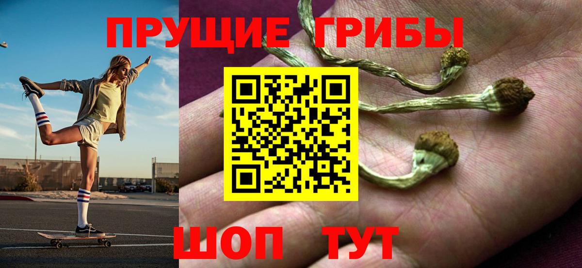 Галлюциногенные грибы прущие грибы Кизляр